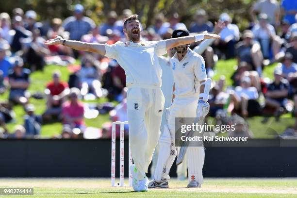 James Anderson of England unsuccessfully appeals for the wicket of Kane Williamson of New Zealand during day two of the Second Test match between New...