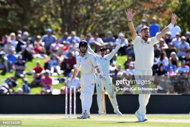 Kane Williamson of New Zealand looks on as James Anderson of England unsuccessfully appeals for his wicket during day two of the Second Test match...