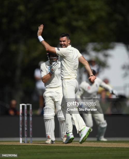 England bowler James Aanderson takes the prized wicket of New Zealand captain Kane Williamson during day two of the Second Test Match between the New...