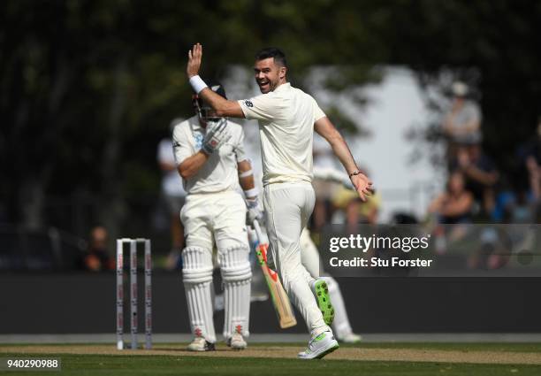 England bowler James Aanderson takes the prized wicket of New Zealand captain Kane Williamson during day two of the Second Test Match between the New...