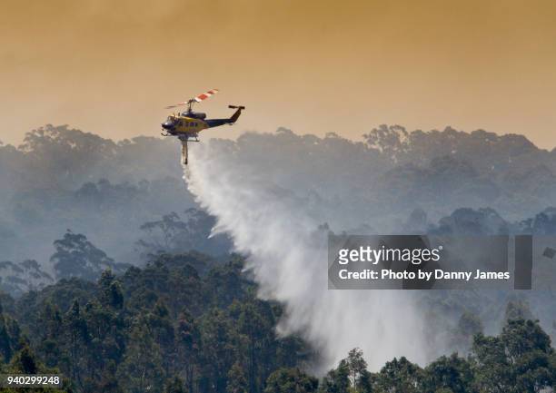 water saves the day - nsw bushfires stock-fotos und bilder