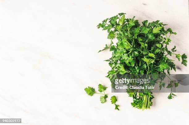 parsley - curly parsley stock pictures, royalty-free photos & images
