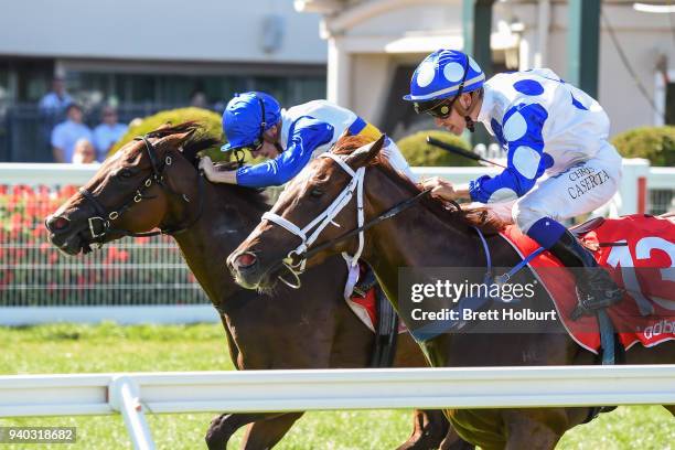 Miss Vixen ridden by Beau Mertens wins the Bert Bryant Handicap, at Caulfield Racecourse on March 31, 2018 in Caulfield, Australia.