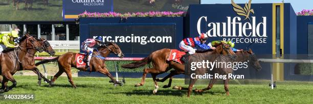 No Commitment ridden by Ben E Thompson wins the Robert Taranto Handicap, at Caulfield Racecourse on March 31, 2018 in Caulfield, Australia.