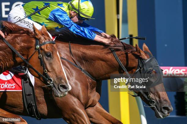 No Commitment ridden by Ben E Thompson wins the Robert Taranto Handicap, at Caulfield Racecourse on March 31, 2018 in Caulfield, Australia.