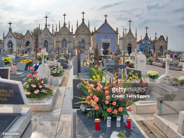 graveyard of the igreja matriz de santa maria de válega on nov 1st sanits day - maria tejada fotografías e imágenes de stock