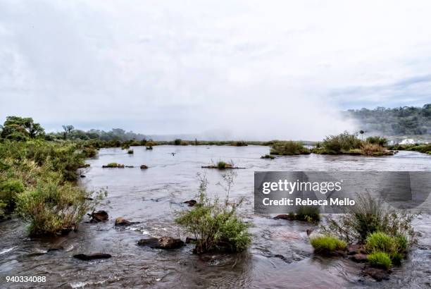 the  iguazu river near the great fall known  as devil's throat - garganta del diablo fotografías e imágenes de stock