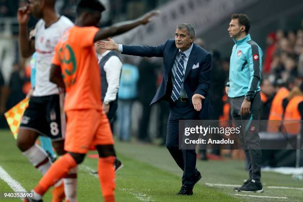 Head coach Senol Gunes of Besiktas gives tactics during a Turkish Super Lig week 27 soccer match between Besiktas and Aytemiz Alanyaspor at Vodafone...