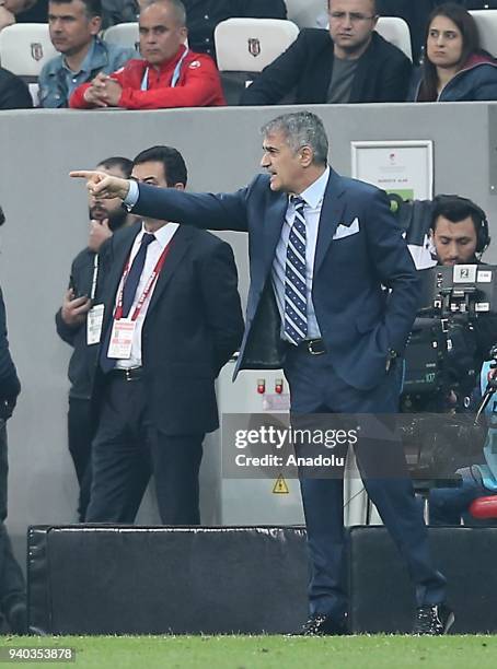 Head coach Senol Gunes of Besiktas gives tactics during a Turkish Super Lig week 27 soccer match between Besiktas and Aytemiz Alanyaspor at Vodafone...