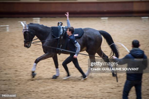 French aerobatic world champion Lambert Le Clezio performs with a horse during a training day at the "Cadre Noir de Saumur" national equestrian...