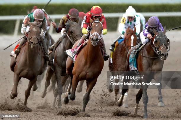 Gulfstream Park Horse Racing Photos and Premium High Res Pictures ...