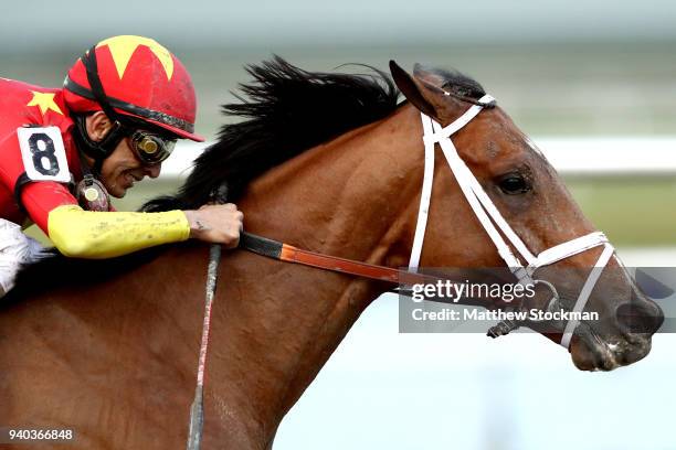 Audible, riden by John Valesquez,comes out of turn four during the Florida Derby at Gulfstream Park on March 31, 2018 in Hallandale, Florida.