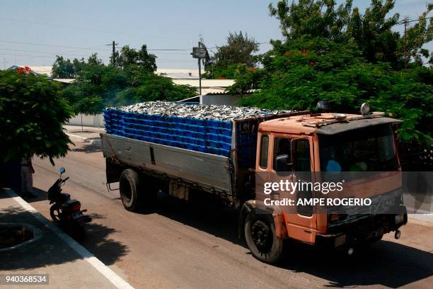 An employee of the "Pesca Fresca" fish factory drives a truck loaded with fish through the factory entrance on February 12, 2018 in the Angolan...