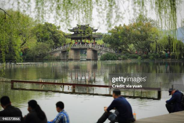 tourists sitting side of the west lake,hangzhou,china - west lake hangzhou stock pictures, royalty-free photos & images