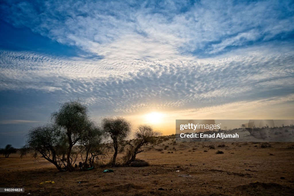 Thar desert, Rajasthan, India