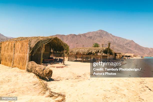 straw huts for accommodation on beach during daytime, nuweiba, southern sinai, egypt - nuweiba stock pictures, royalty-free photos & images