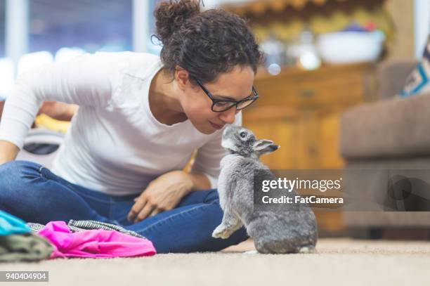 la alegría de vivir con mascotas - rabbit fotografías e imágenes de stock