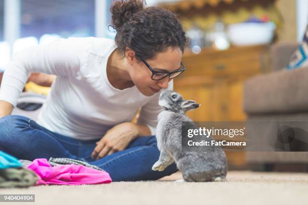 the joy of living with pets - rabbit imagens e fotografias de stock