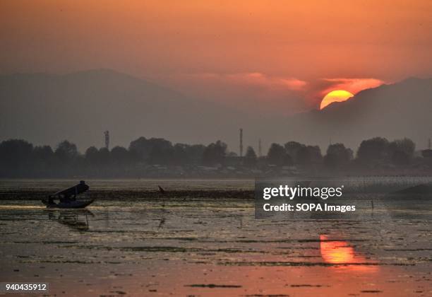 Kashmiri boatman paddles his boat on Dal Lake during sunset in Srinagar, Indian administered Kashmir.