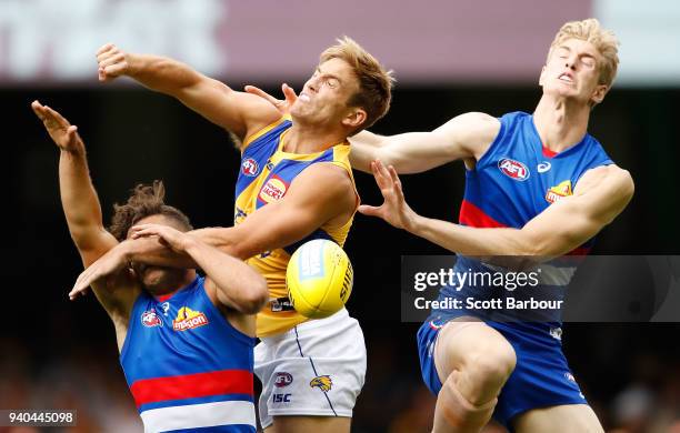 Brad Sheppard of the Eagles competes for the ball during the round two AFL match between the Western Bulldogs and the West Coast Eagles at Etihad...