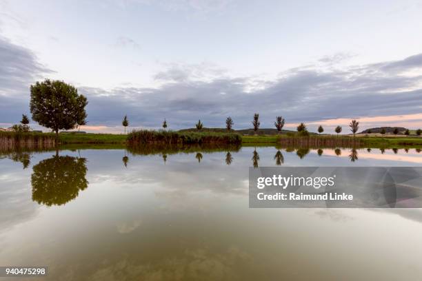 landscape with row of trees reflecting in lake, drei gleichen, ilm district, thuringia, germany - thüringen landschaft stock-fotos und bilder