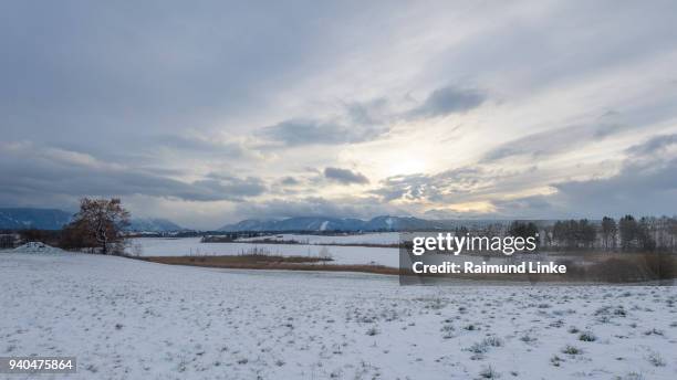 lake riegsee in winter at sunset, riegsee, murnau, upper bavaria, bavaria, germany, european alps - lake riegsee stock pictures, royalty-free photos & images