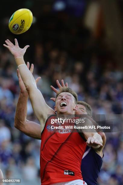 Brendon Goddard of the Bombers and Aaron Sandilands of the Dockers go for a mark during the round two AFL match between the Fremantle Dockers and the...