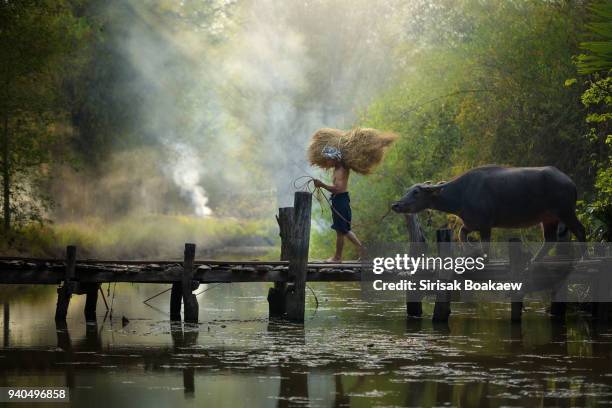 morning thai farmers go to work - indonesia vs malaysia stock pictures, royalty-free photos & images