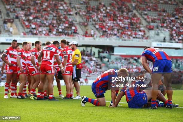 Tauta Moga of the Knights is injured after scoring a try during the round four NRL match between the St George Illawarra Dragons and the Newcastle...