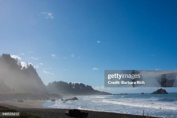 gently breaking waves on the pacific ocean under a blue clouded sky with morning mist moving towards the redwood trees - del norte county stockfoto's en -beelden