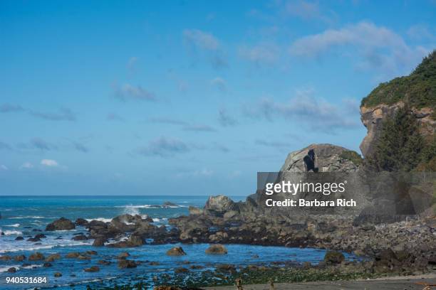 rock formations on the pacific ocean coastline alongside hwy 1 in northern california under a blue clouded sky - del norte county stockfoto's en -beelden