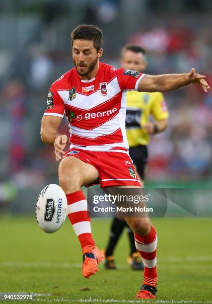 Ben Hunt of the Dragons kicks ahead during the round four NRL match between the St George Illawarra Dragons and the Newcastle Knights at WIN Stadium...