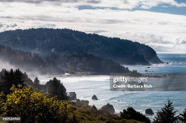 view of the morning mist from the pacific ocean rolling into the redwood trees alongside hwy 1 through del norte county in northern california - contea di del norte foto e immagini stock