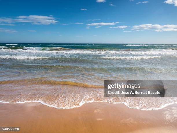 shore of the beach with water waves color turquoise that they break on the brown sand. - biosphere planet earth stockfoto's en -beelden