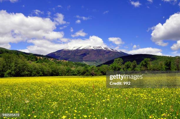 spring landscape - prizren stock pictures, royalty-free photos & images