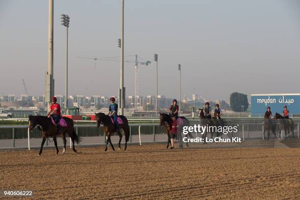 Team of Aidan O’Brien stable horses training at the Meydan Racecourse prior to Dubai World Cup 2018 on March 30, 2018 in Dubai, United Arab Emirates.