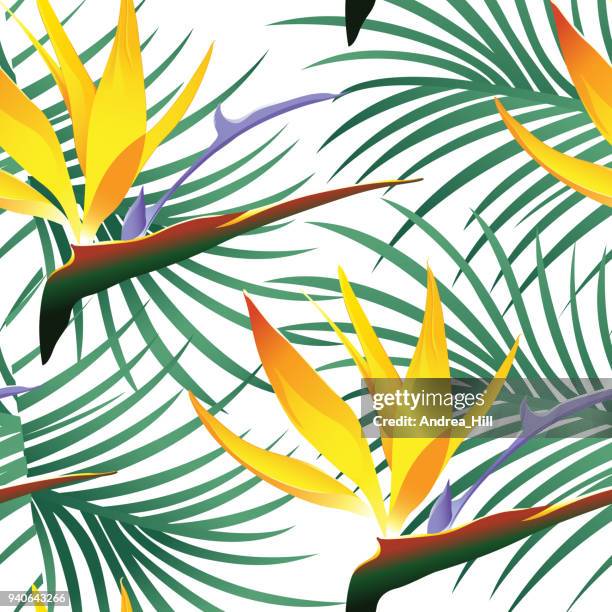 ilustrações, clipart, desenhos animados e ícones de teste padrão tropical isolado no fundo branco - ilustração vetorial - ave do paraíso planta