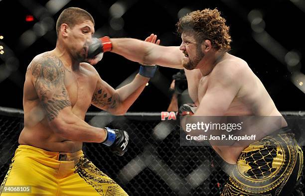 Fighter Brendan Schaub battles UFC fighter Roy Nelson during their Heavyweight Finale fight at The Ultimate Fighter Season 10 Finale on December 5,...