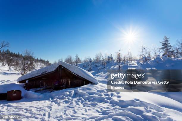 winter cottage in arctic pole with sunny finland sky, north pole - saariselka stock pictures, royalty-free photos & images