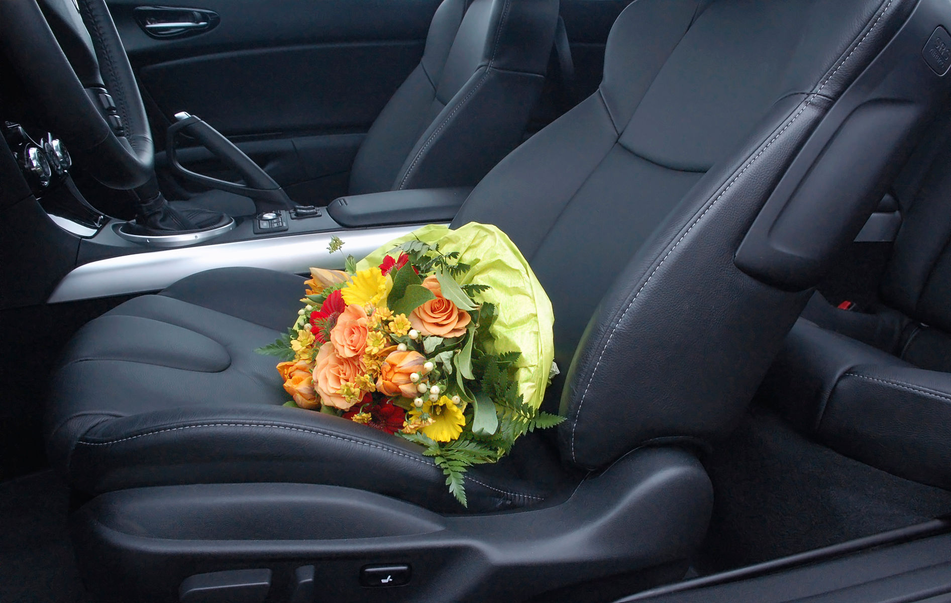 luxury car care