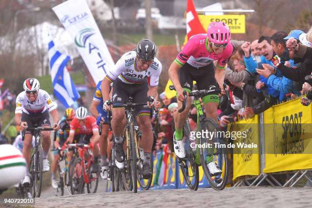 Sep Vanmarcke of Belgium and Team EF Education First - Drapac P/B Cannondale / Peter Sagan of Slovakia and Team Bora - Hansgrohe / Paterberg / during...