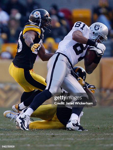 Chaz Schilens of the Oakland Raiders catches a pass in front of Ryan Clark and William Gay of the Pittsburgh Steelers during the game on December 6,...
