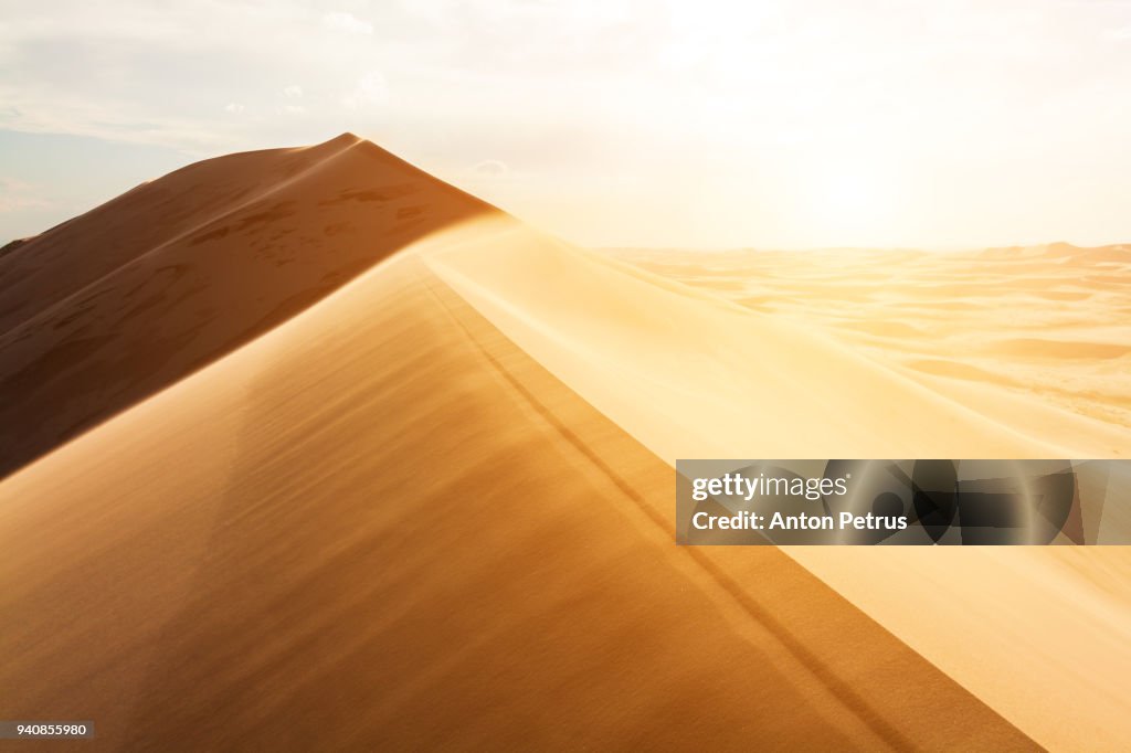 Sand dunes in the desert at sunset