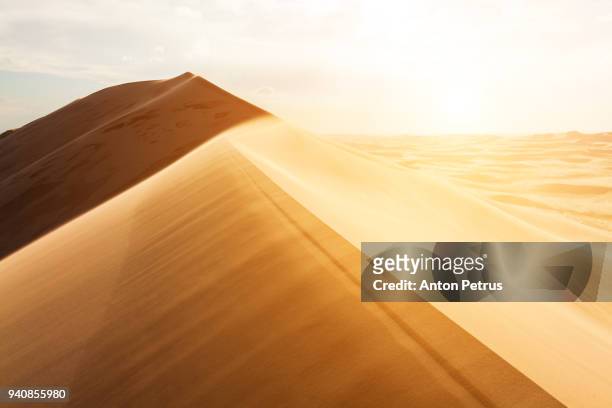 sand dunes in the desert at sunset - qatar desert stock pictures, royalty-free photos & images