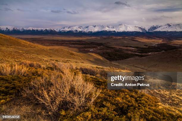 north chuya ridge. altay mountains. russia. - taiga stock pictures, royalty-free photos & images