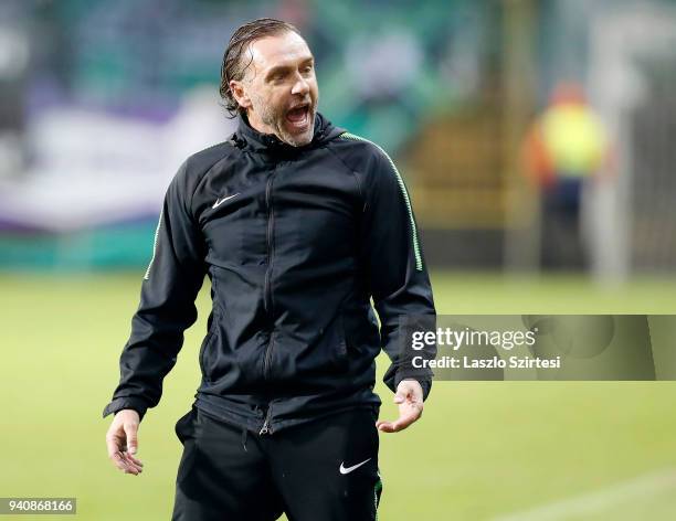 Head coach Thomas Doll of Ferencvarosi TC reacts during the Hungarian OTP Bank Liga match between Ujpest FC and Ferencvarosi TC at Ferenc Szusza...