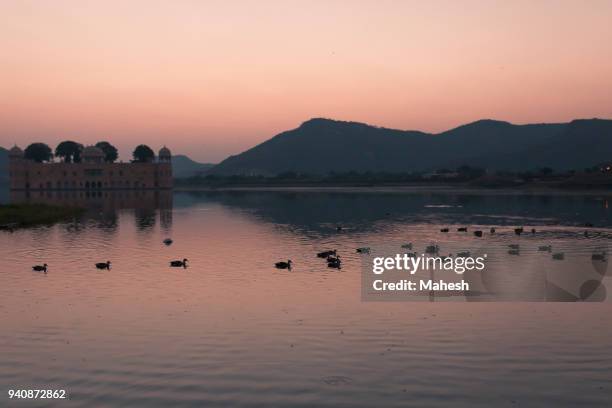 jal mahal, jaipur, india - jal mahal stock pictures, royalty-free photos & images