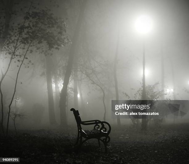 fog in the park - iasi romania stock pictures, royalty-free photos & images