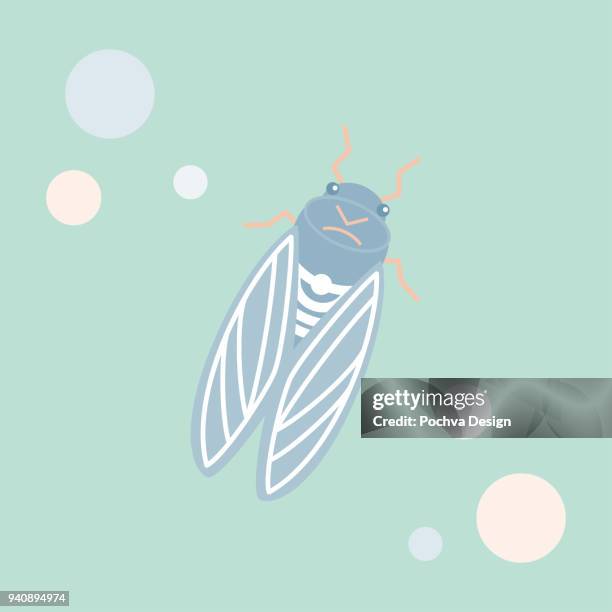 96点のセミイラスト素材 Getty Images 96点のセミイラスト素材 Getty Images