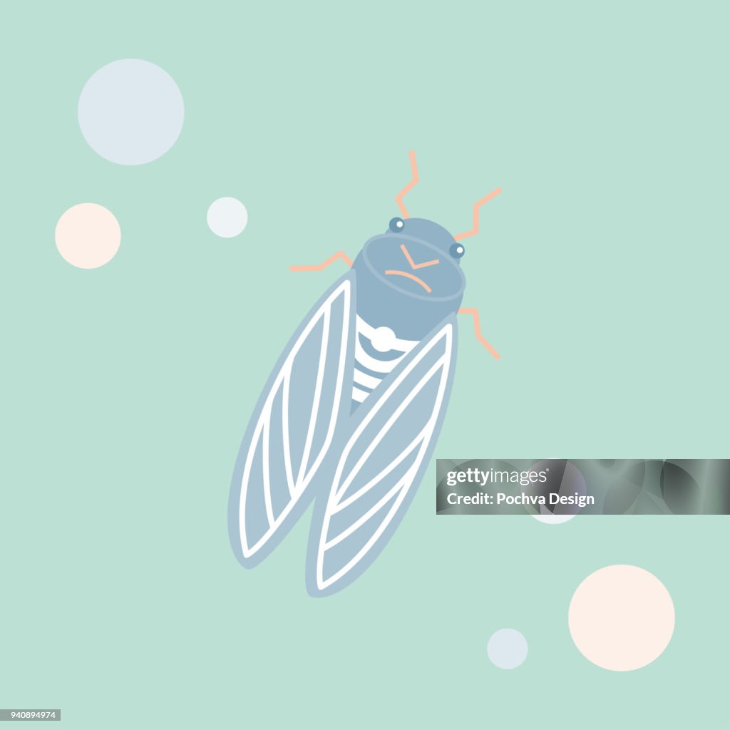 Cicade vectorillustratie